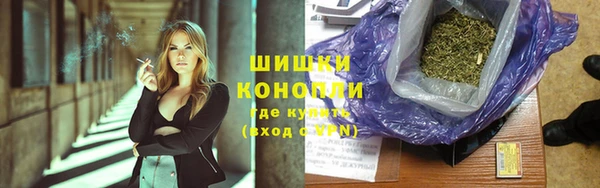 PSILOCYBIN Богородицк
