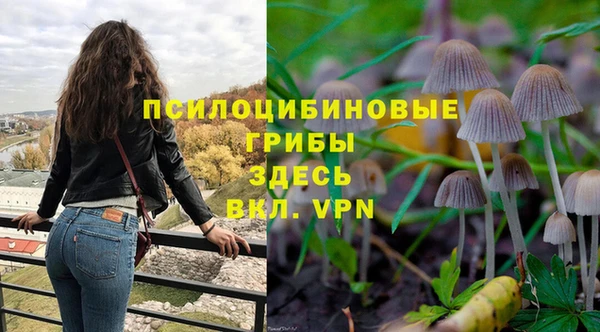 кокаин перу Бородино