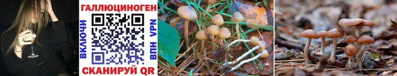 Псилоцибиновые грибы GOLDEN TEACHER  Заволжск 